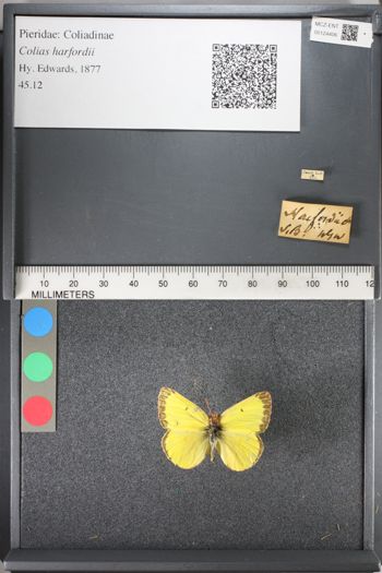 Media type: image;   Entomology 124406